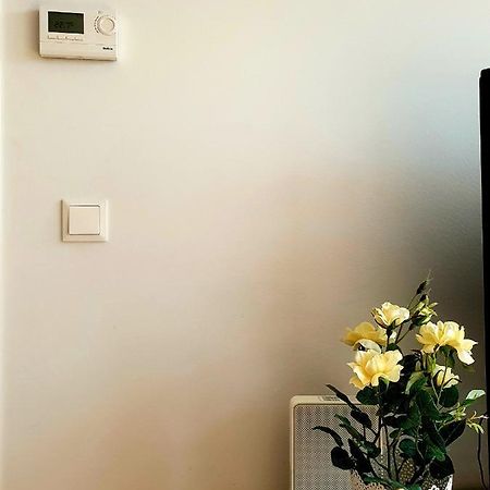 Near Lake Two Bedroom Fully Furnished Apartment Vienne Extérieur photo